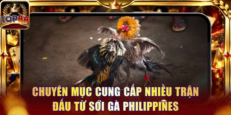 Đá Gà Top88 - Trải Nghiệm Trực Tiếp Trận Đấu Và Kèo Nổi Bật