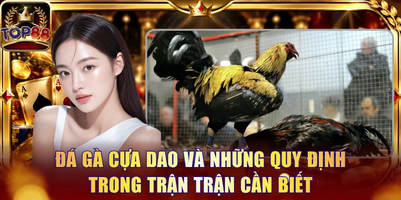 Tin Tức - Top88
