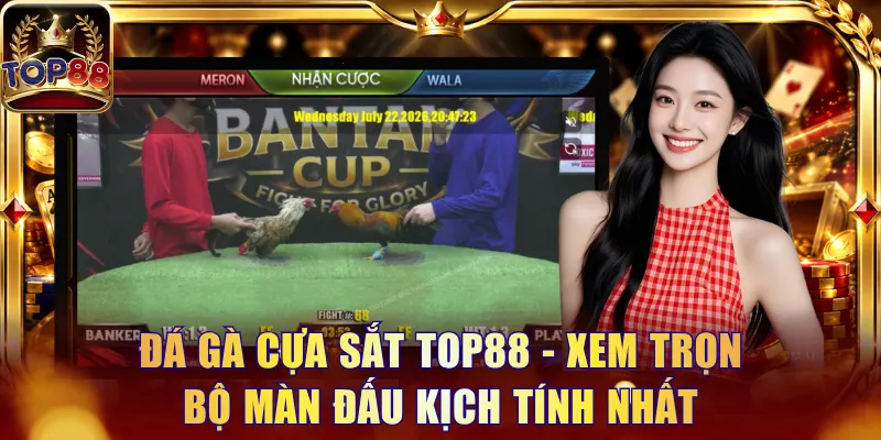 Tin Tức - Top88