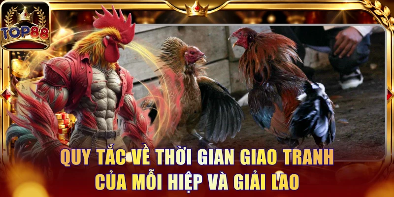 Đá Gà Thomo - Quy Tắc Chọi Kê Và 3 Cửa Đặt Tiền Tại Top88