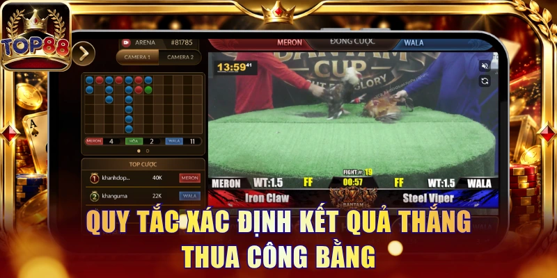 Đá Gà Thomo - Quy Tắc Chọi Kê Và 3 Cửa Đặt Tiền Tại Top88