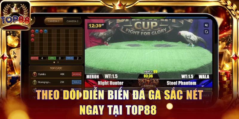 Đá Gà Cựa Dao Và Những Quy Định Trong Trận Trận Cần Biết
